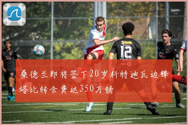 桑德兰即将签下20岁科特迪瓦边锋塔比转会费达350万镑